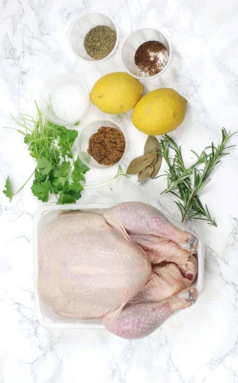 đá gà bên cẩm đá gà bên cẩm