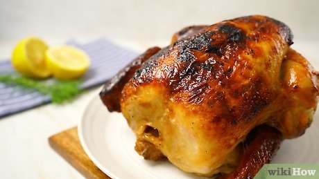 tải ứng dụng xem ngày đá gà tải ứng dụng xem ngày đá gà