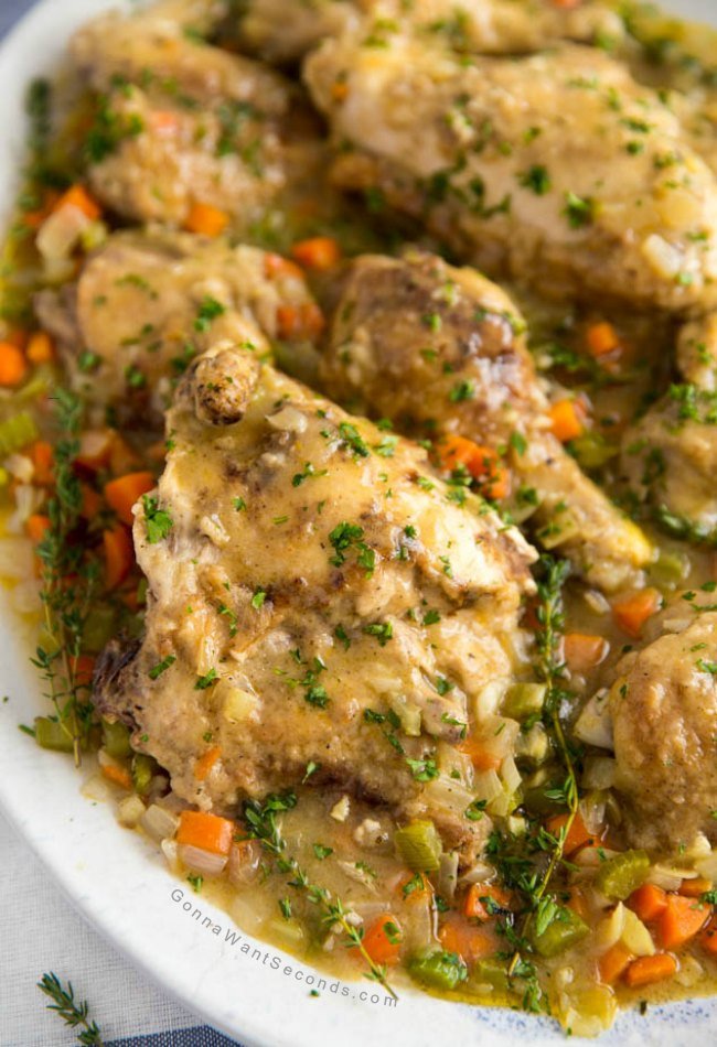 gà đá lộn với chim sáo