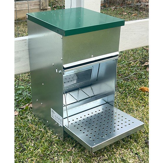 mua bán gà đá tiền giang mua bán gà đá tiền giang