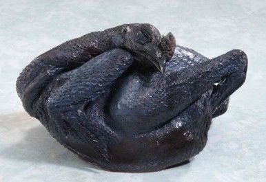xem đá gà cựa sắt miền tây xem đá gà cựa sắt miền tây