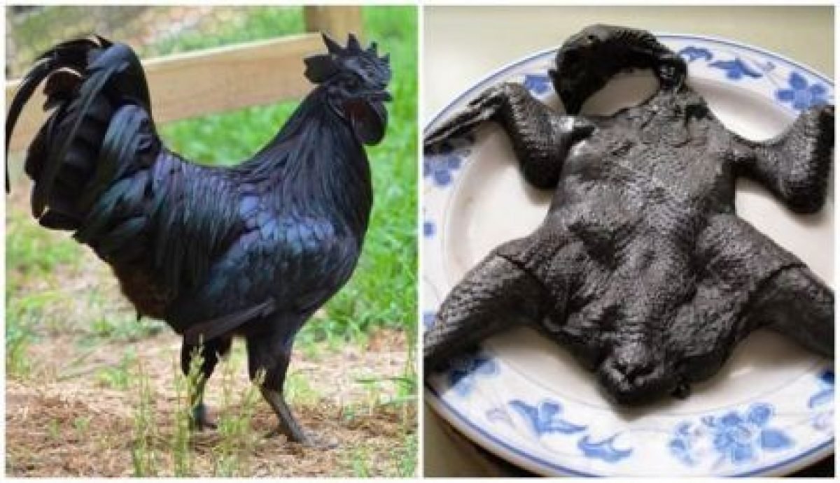 đá gà đòn gãy cổ,Đá Gà Đòn Gãy Cổ: Lịch Sử, Cách Chơi, và Ý Nghĩa Của Trò Chơi đá gà đòn gãy cổ,Đá Gà Đòn Gãy Cổ: Lịch Sử, Cách Chơi, và Ý Nghĩa Của Trò Chơi