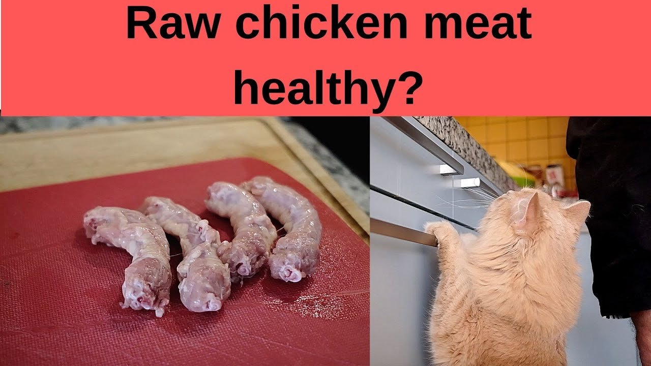 đá gà nòi cựa sắt miền tây đá gà nòi cựa sắt miền tây