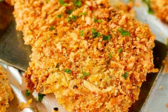 cách trộn ngũ cốc cho gà đá cách trộn ngũ cốc cho gà đá
