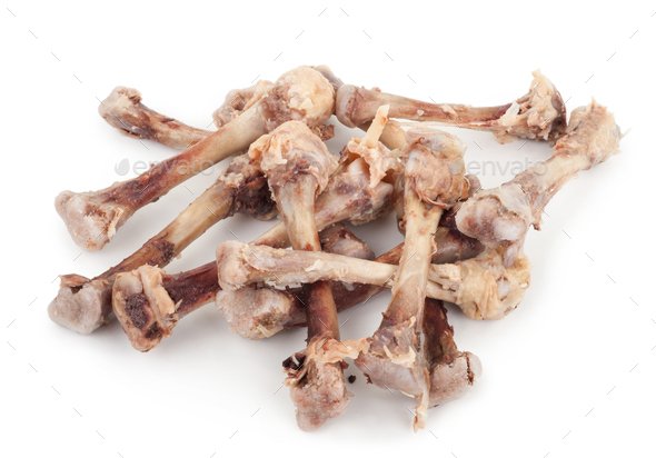 đá gà bị bắt đá gà bị bắt