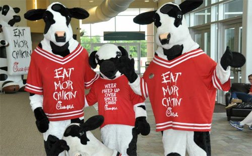 bán gà đá bến tre vừa cập bán gà đá bến tre vừa cập