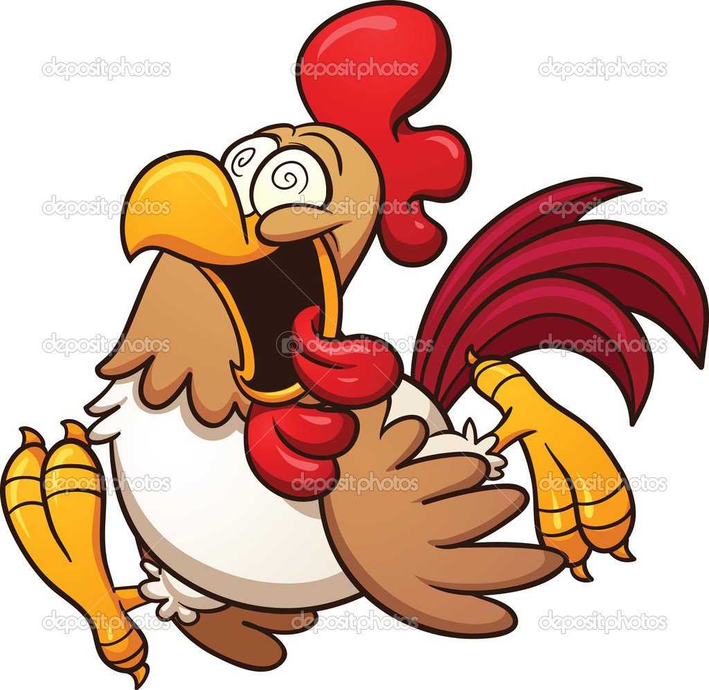 gà mỹ đá cựa tròn gà mỹ đá cựa tròn