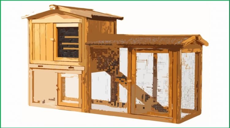 Xem trực tiếp những trận gà đá hấp dẫn nhất hôm nay