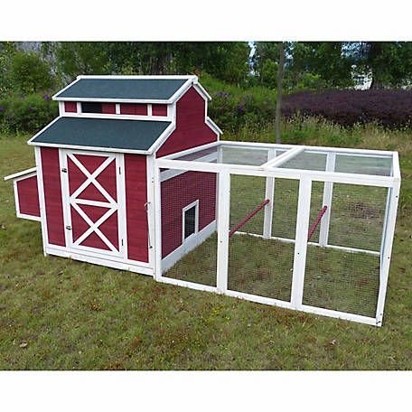 Bí kíp chọn thuốc gà đá tại Quận 8 dành cho người mới bắt đầu